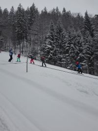 ski2019_1